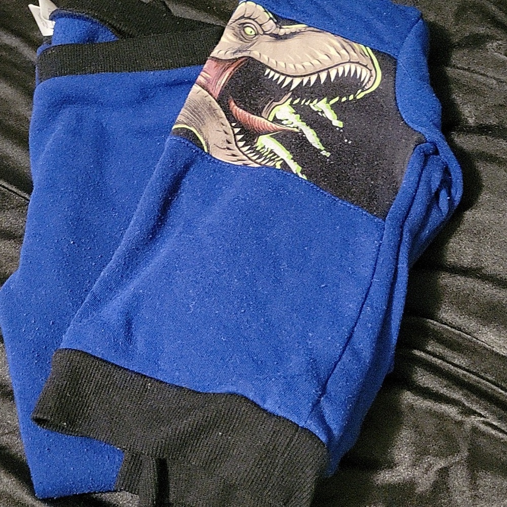 Blue Dinosaur Graphic Sweatpants